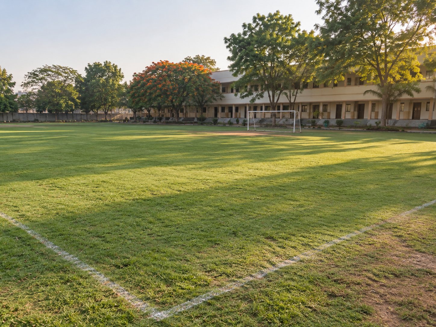 Sports lawn at a school campus after establishment.